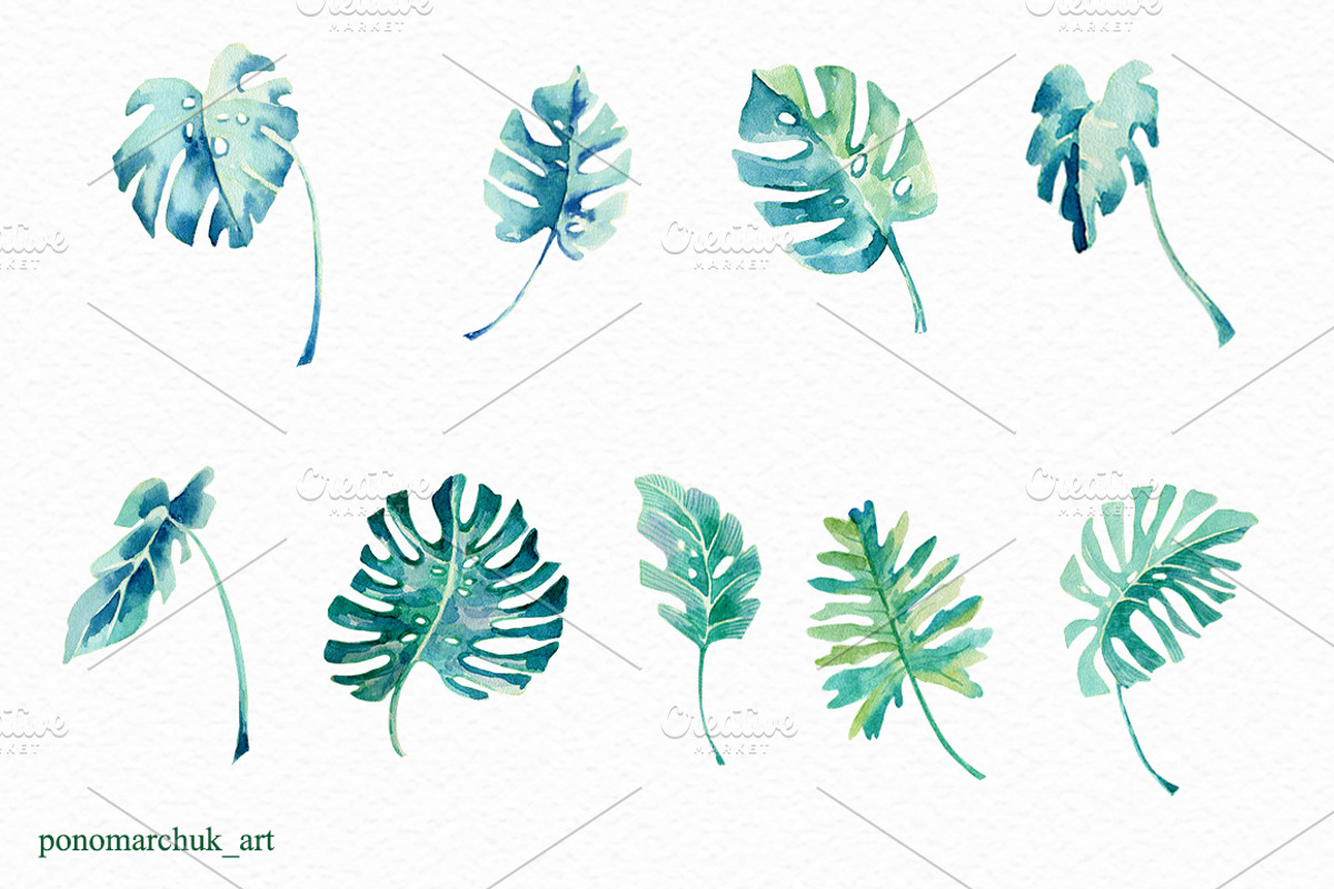 Tropical leaves set, a Decorative Illustration by Colibri Watercolor (Photo 3 of 3)