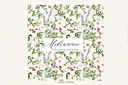 Midsummer - field flowers clipart, a Decorative Illustration by whiteheartdesign (Thumbnail 6 of 16)