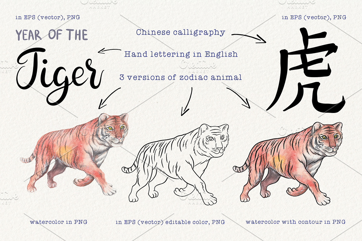 12 Chinese Zodiac Animals set, an Animal Illustration by Alena Solonshchikova (Photo 13 of 13)