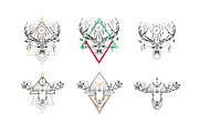 All tribal goods BUNDLE, an Animal Illustration by AnastasiaFears (Thumbnail 7 of 17)