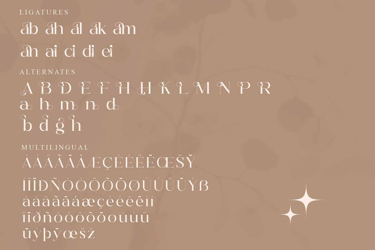 Hegam Modern and Stylish Serif Font, a Serif Font by Storytype Studio (Photo 14 of 15)