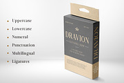 Dravion, a Serif Font by Keren Studio (Thumbnail 5 of 15)