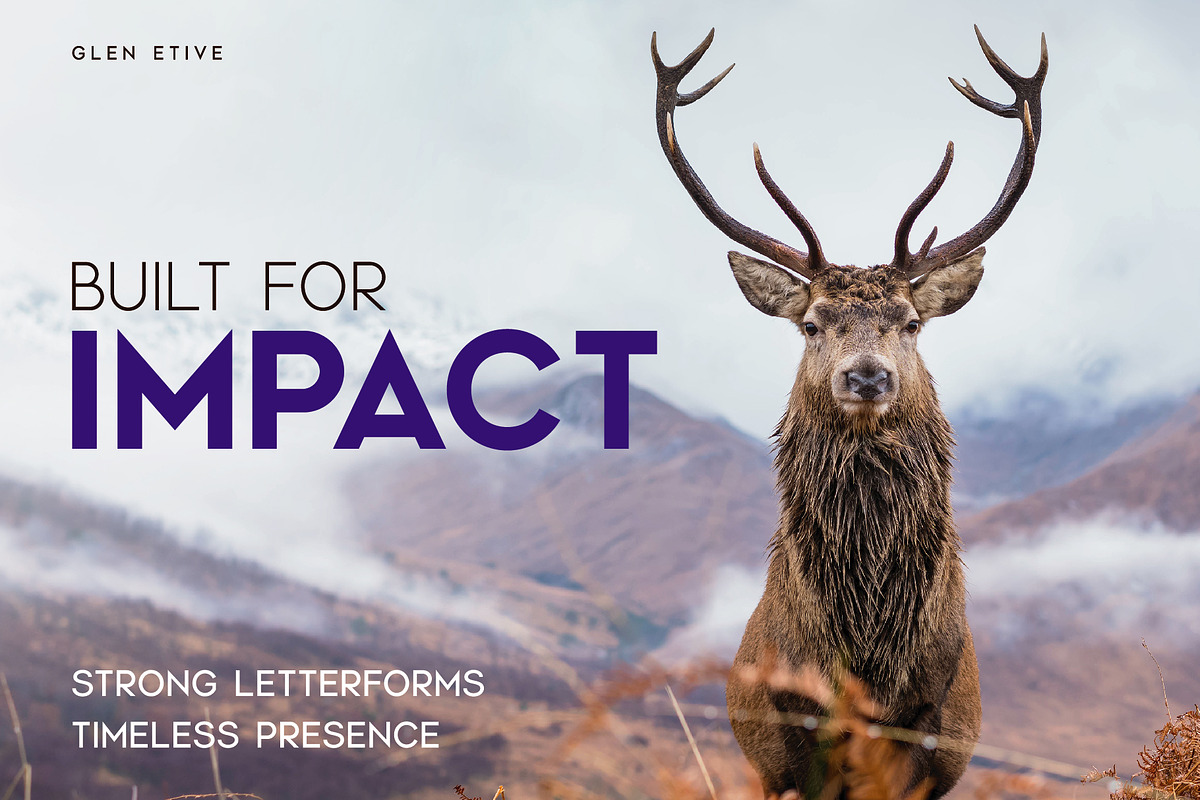 Glen Etive - A Modern Display Font, a Sans Serif Font by Thistle Type (Photo 9 of 9)