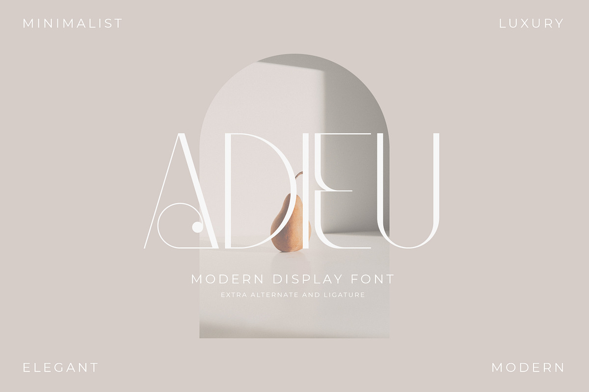 Qegor Modern and Minimalist Serif, a Serif Font by Storytype Studio (Photo 12 of 12)