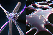 Imagine Abstract AI pack, an Abstract Photo by Design syndrome (Thumbnail 6 of 7)