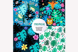 Tropical patterns set