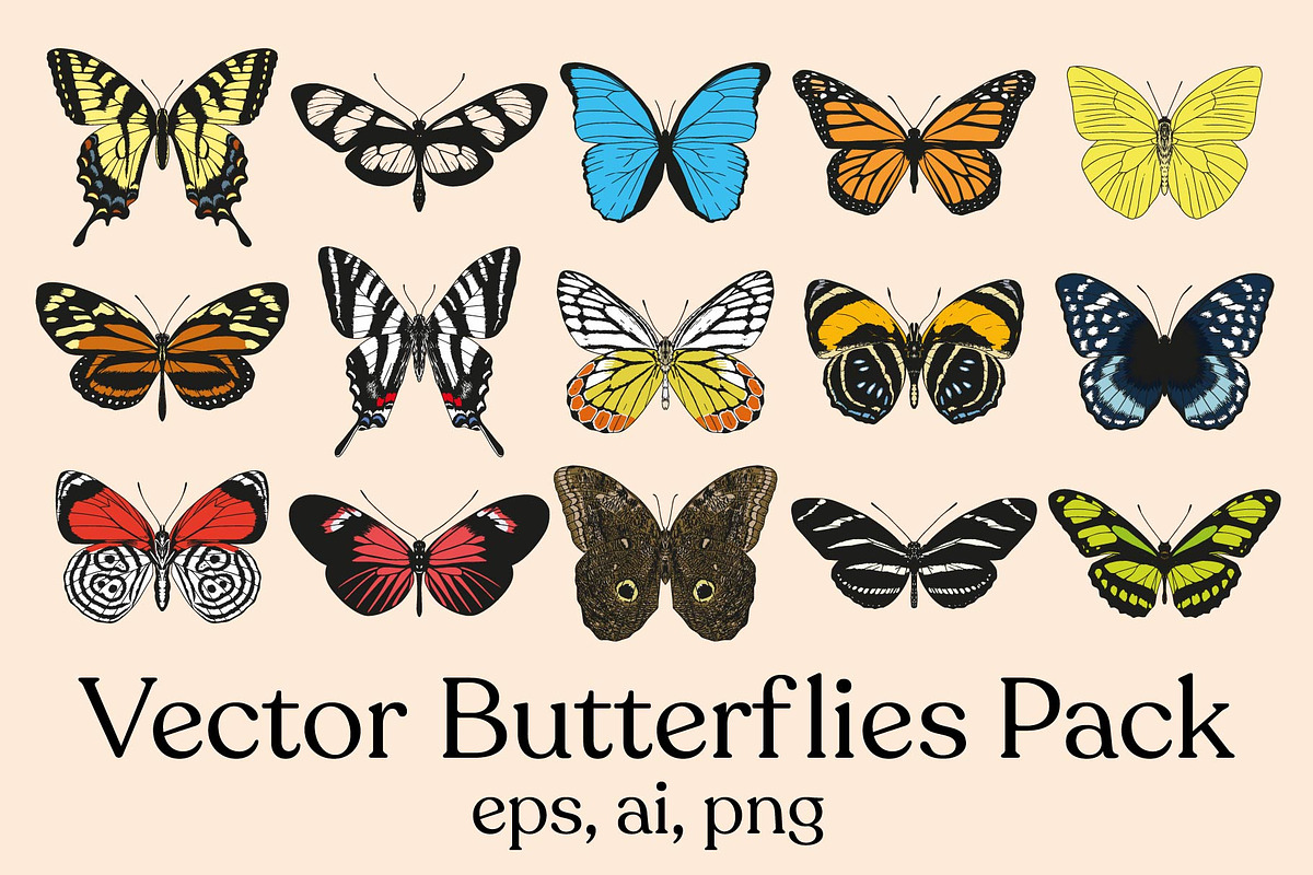 Vector Butterflies Pack, a Decorative Illustration by Andres M Rodriguez (Photo 1 of 2)