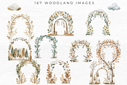 Woodland Animal Clipart, an Animal Illustration by EllyandLima (Thumbnail 8 of 10)