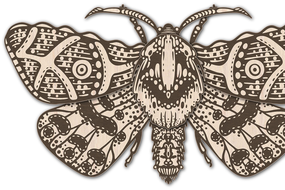 Butterfly Laser Cut Glowforge xTool, an Animal Illustration by Bubert Art (Photo 2 of 9)