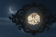 Ornate Oval Frame Laser Bundle, an Illustration by Gaye Art (Thumbnail 7 of 11)
