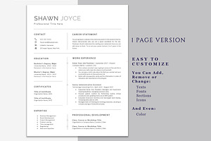 Professional CV Template