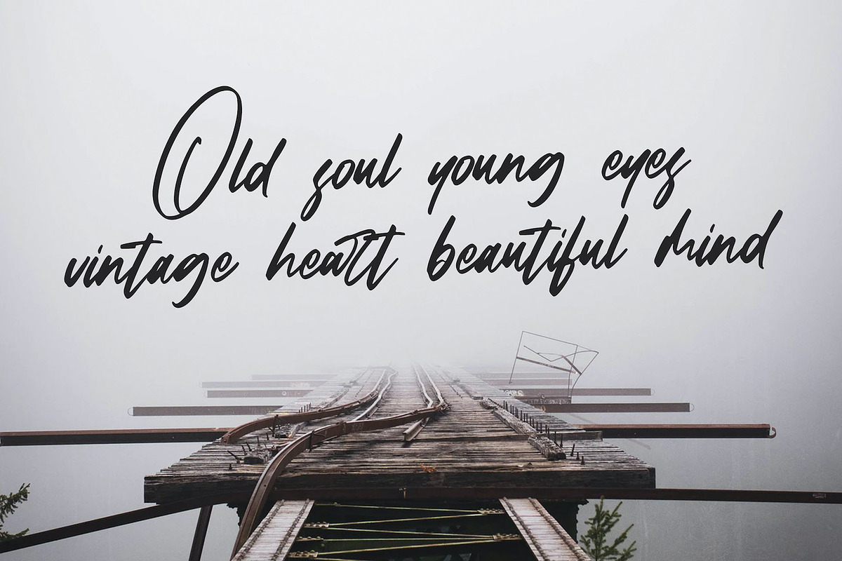 Falcon Harfing - Bold Script Font, a Script Font by StringLabs (Photo 2 of 14)