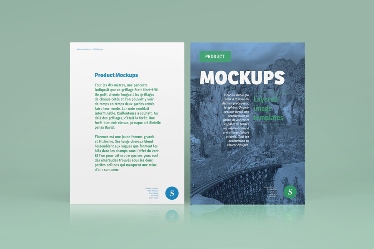 A6-A5 Flyer Mockup, a Print Template by Formelier (Photo 2 of 5)