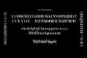 ROASTER - Absonstype, a Serif Font by Absonstype (Thumbnail 11 of 11)