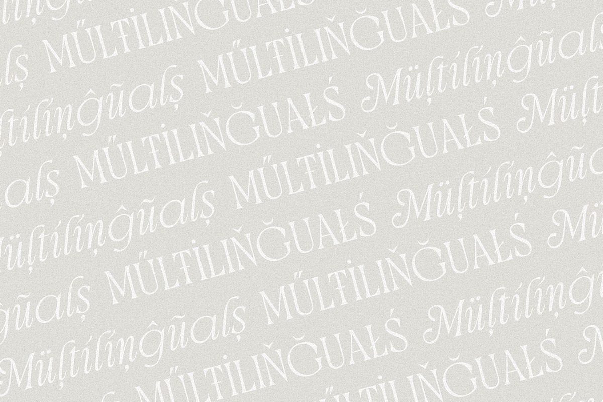 Brighty Harmony | Serif font family, a Font by Digitype Studio (Photo 10 of 15)