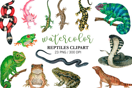 Watercolor Reptile Clipart Amphibian, an Animal Illustration by PatternPalette
