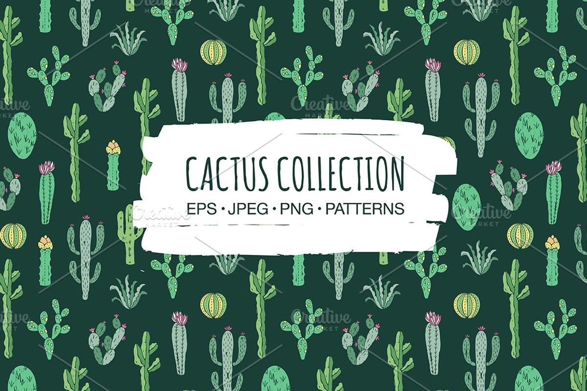 Cactus collection, an Illustration by Redchocolate (Photo 1 of 6)