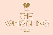 TAN - The Whistling, a Serif Font by TanType (Thumbnail 1 of 35)