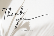 Elegant Lady, a Script Font by Sronstudio (Thumbnail 12 of 13)