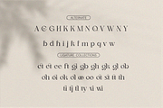 Nagishe Soinetha Moderen & Elegance, a Serif Font by BOOSH Studio (Thumbnail 11 of 13)