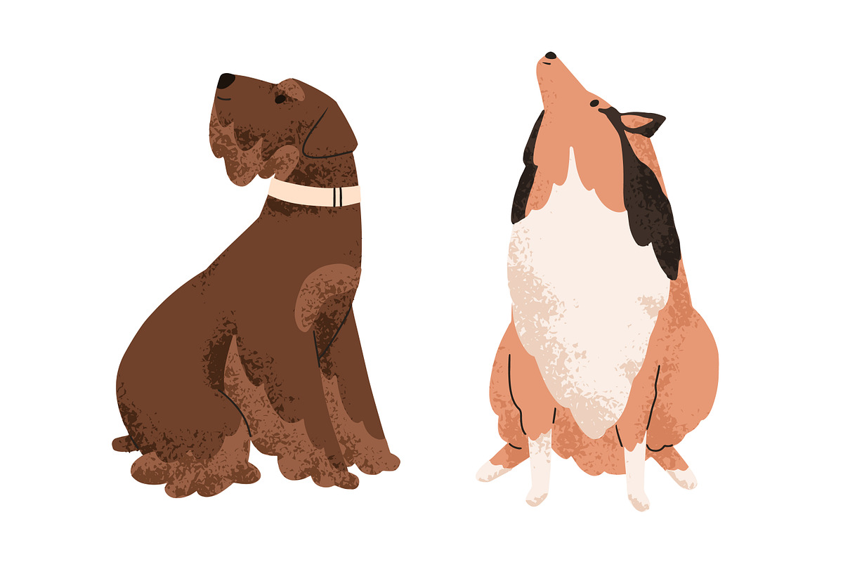 Cute dogs of different breeds set, an Animal Illustration by Good Studio (Photo 4 of 7)