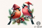 Christmas Grosbeak Birds PNG, an Illustration by Designking (Thumbnail 1 of 4)