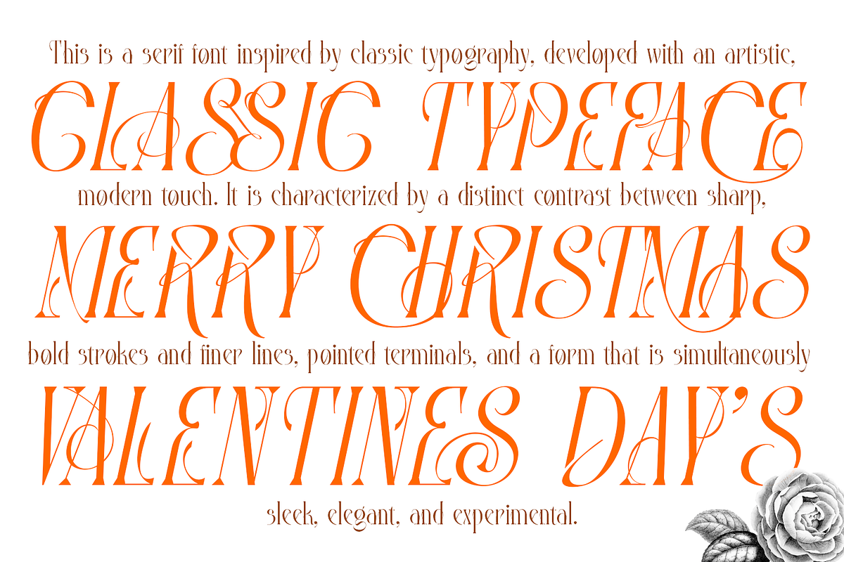 Mintgash Ainlone - Elegant Serif, a Serif Font by TypeClassHeroes (Photo 5 of 10)