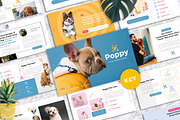 Poppy - Pet Care Keynote Templates, a Presentation Template by Dhabee (Thumbnail 1 of 6)