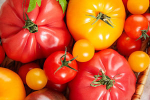 Colorful heirloom tomatoes and cherry tomatoes basket harvest, a Food & Drink Photo by Olena Rudo