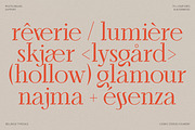 Bellrose Display Serif Font, a Serif Font by CarmineType (Thumbnail 6 of 24)