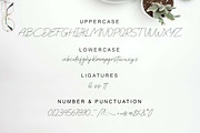 Pacifista, a Script Font by Zelda Graphic (Thumbnail 2 of 6)