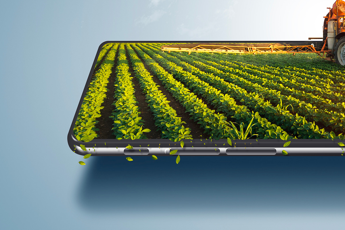 Digital or online farming concept, a Food Illustration by Nomad (Photo 2 of 4)