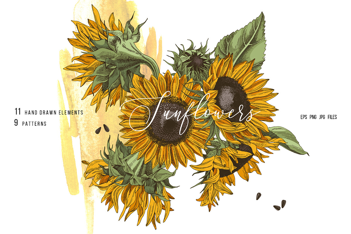 Hand drawn botanical bundle, an Illustration by handsketched (Photo 23 of 24)