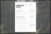 Professional Resume, a Resume Template by introDuice - CV / Resumes (Thumbnail 1 of 6)