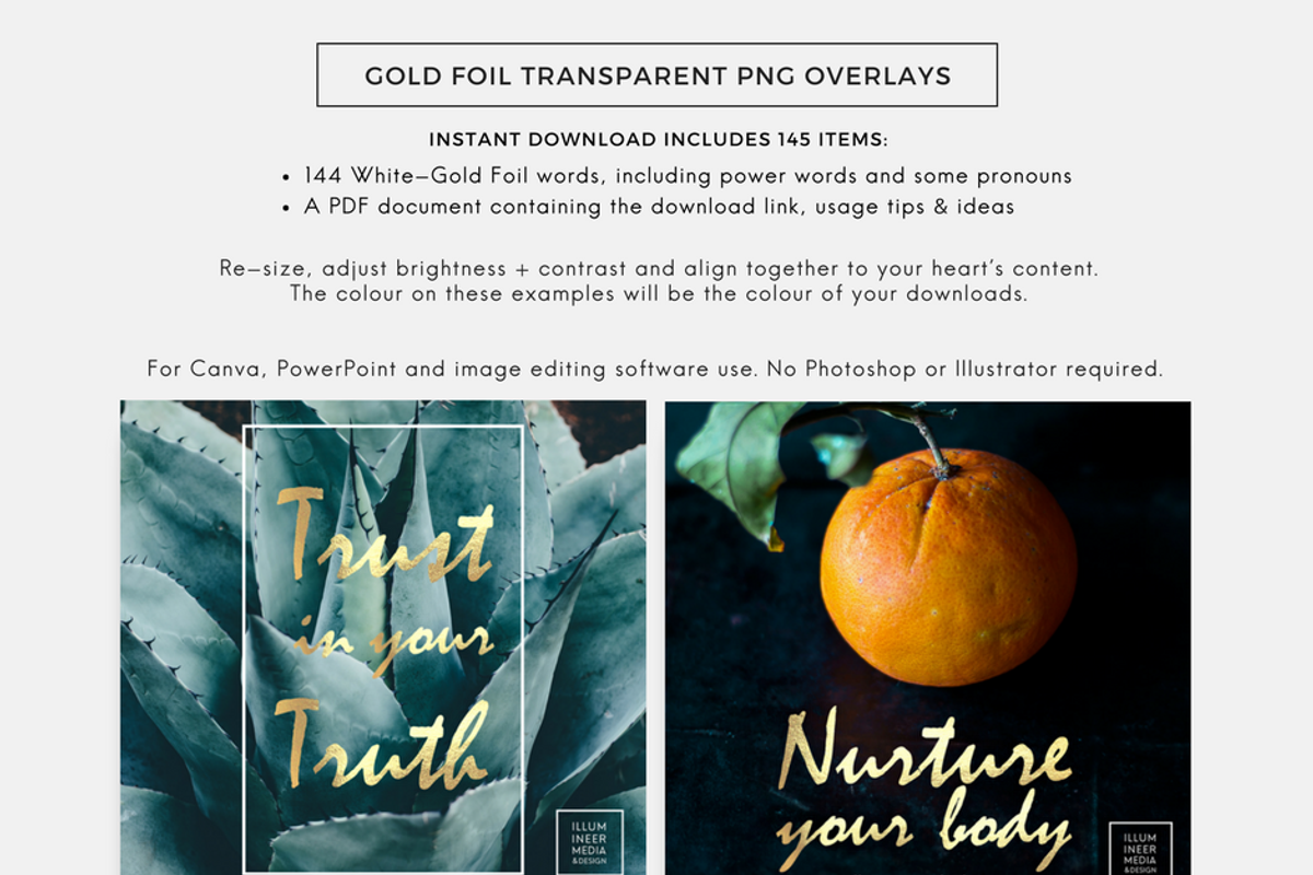 SALE! 144 GOLD FOIL WORD OVERLAYS, an Object Graphic by Illumineer Media & Design (Photo 5 of 8)