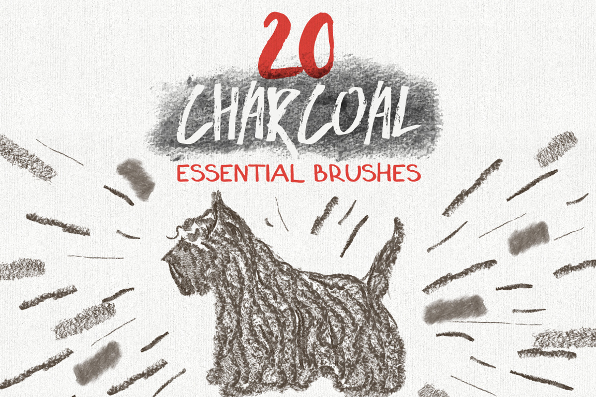 Essential Vector Brushes Collection, a Brush Add-On by Anna Ivanir (Photo 3 of 7)