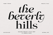 Flowsky Editorial, a Serif Font by zeenesia (Thumbnail 7 of 17)