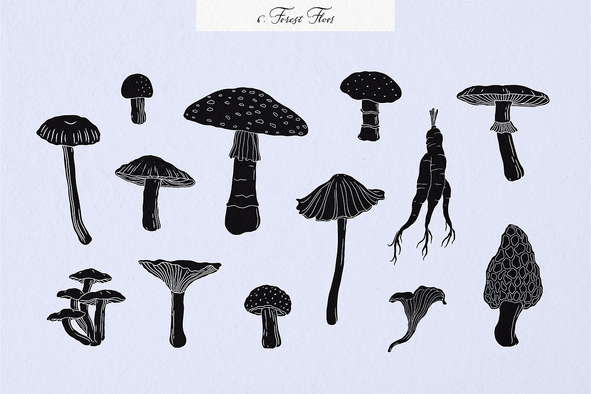 Enchanted Wonders 2 in 1 Graphic Set, a Decorative Illustration by rouxsupplyco (Photo 8 of 19)