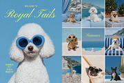 Dogue Summer – Luxury Pet Branding, an Animal Photo by Make Stories Studio (Thumbnail 3 of 5)