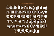 Regina Morise Classy Retro Serif, a Serif Font by timelesstype.co (Thumbnail 19 of 20)
