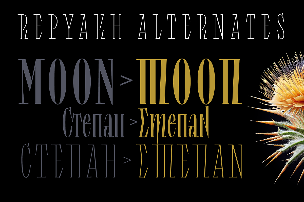 Repyakh Serif type family, a Serif Font by LevType (Photo 5 of 14)