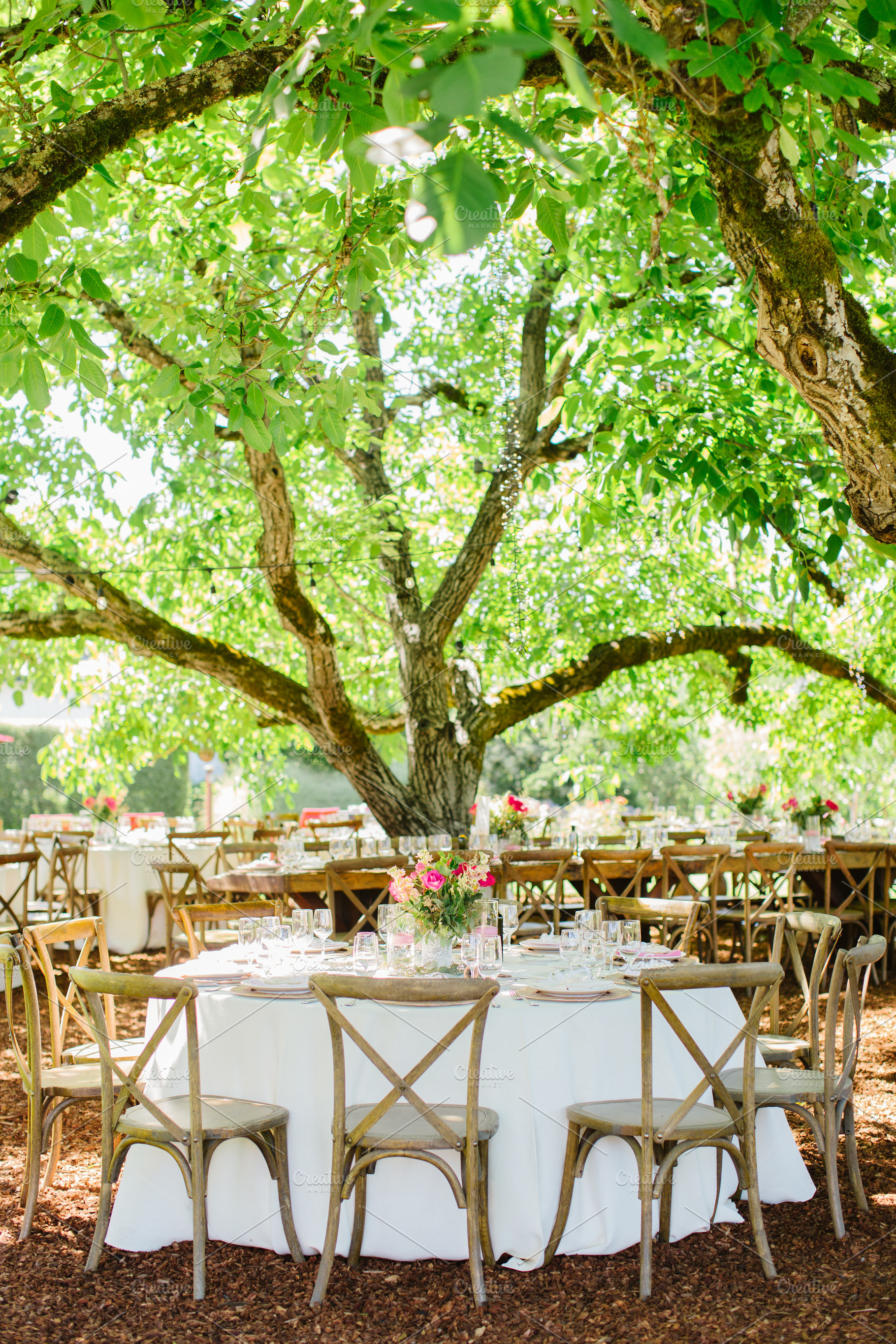 Outdoor reception tables under trees, a Food & Drink Photo by S Hopkins Photo