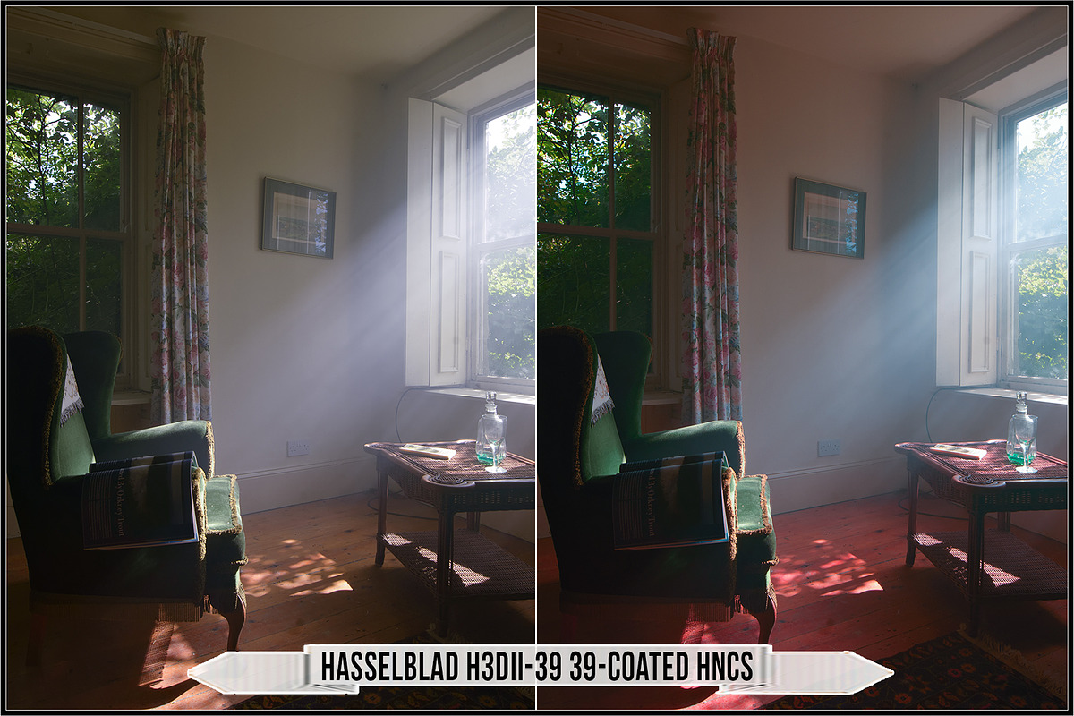 Hasselblad Adjustments Profiles, a Plug-in Add-On by Raztrend (Photo 8 of 30)