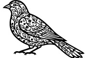Birds on Branch Vector Collection, a Decorative Illustration by Designer_Momina (Thumbnail 15 of 21)