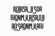 Robison Modern Ligature Futuristic S, a Sans Serif Font by Perfectype (Thumbnail 8 of 8)