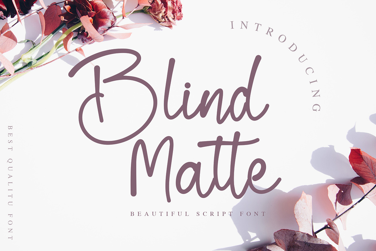 Blind Matte - Script Font, a Script Font by NTC Graphic (Photo 1 of 9)