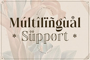 Wistle – Elegant Stylish Serif, a Serif Font by Almeera Std (Thumbnail 9 of 10)