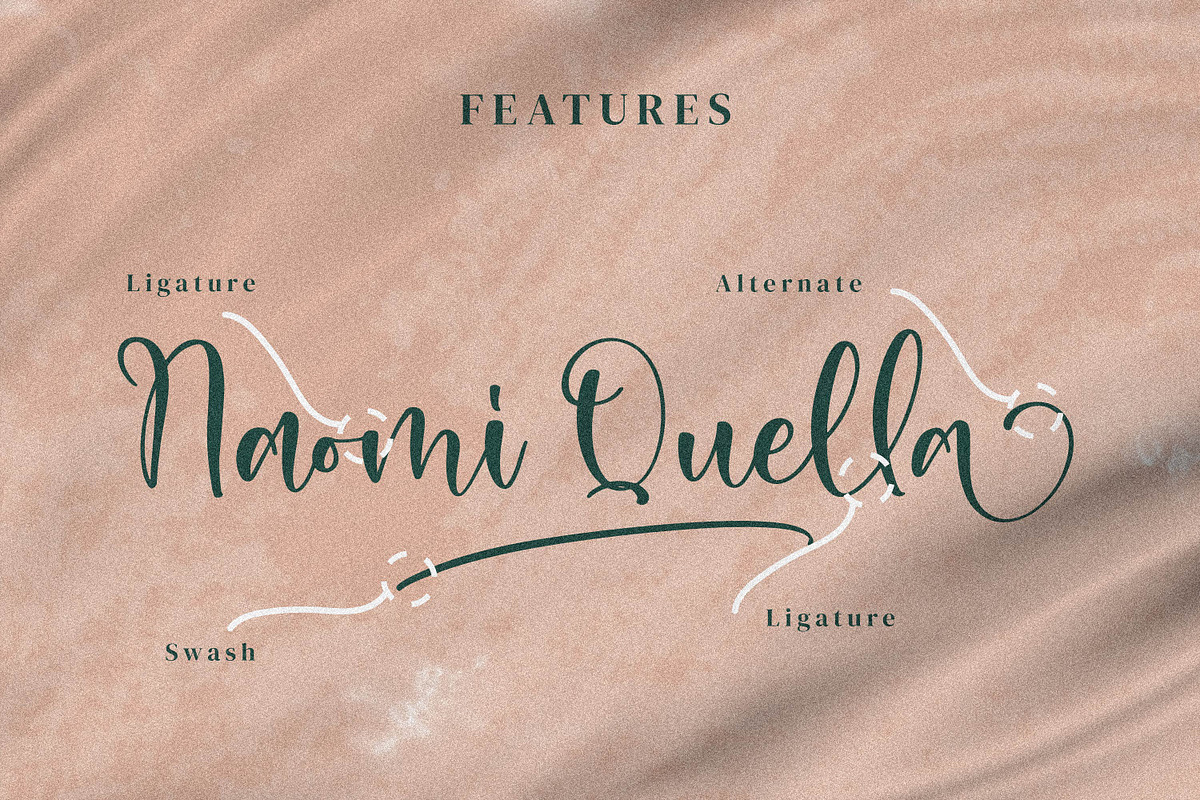 Abigail, a Script Font by Integritype Studio (Photo 14 of 15)
