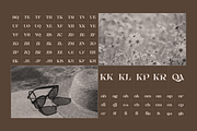 Aseno Modern - Ligatures Serif Font, a Serif Font by Nirmana Visual (Thumbnail 8 of 17)