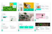 Toetiec Powerpoint Presentation, a Presentation Template by Stock Shape (Thumbnail 3 of 6)